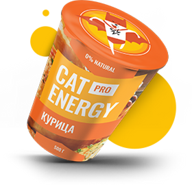 Cat Energy Pro with chicken